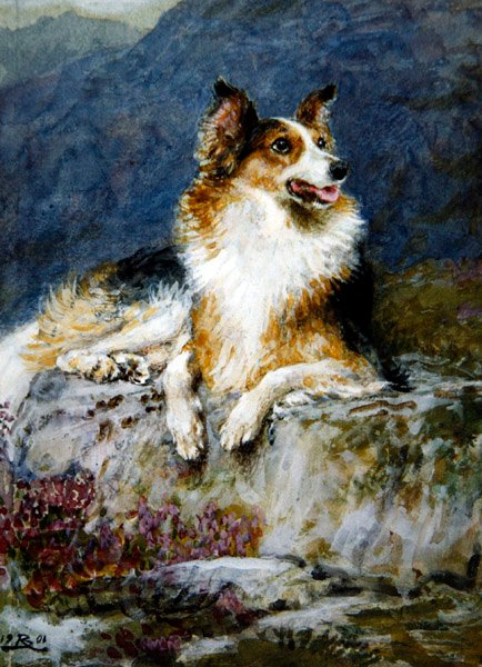 Collie maisemassa tekijältä Briton Riviere