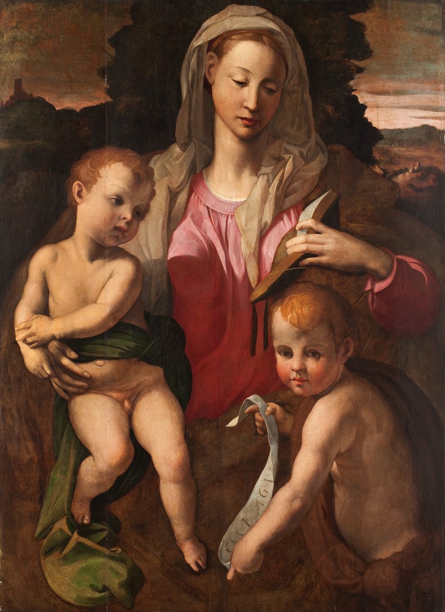 Madonna ja lapsi Johannes Kastajan kanssa tekijältä Bronzino
