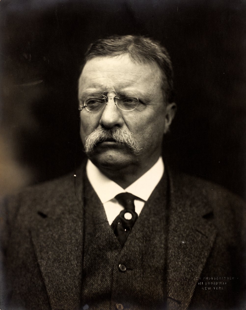 Theodore Roosevelt, n. 1915 (m/w valokuva) tekijältä Brothers Pach