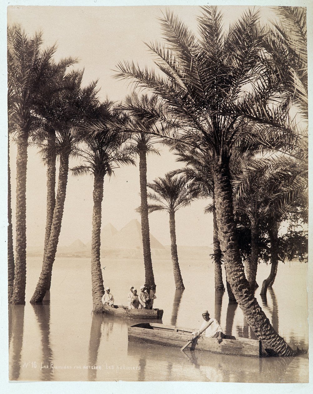 Palmulehto Egyptin pyramidien juurella - Zangali-veljesten valokuva, 1800-luvun loppu tekijältä Brothers Zangaki