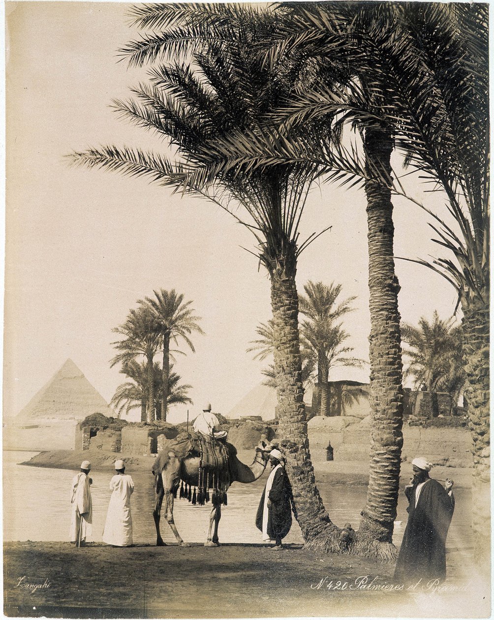 Palmulehto Egyptin pyramidien juurella - valokuva Zangali-veljistä, 1800-luvun loppu tekijältä Brothers Zangaki