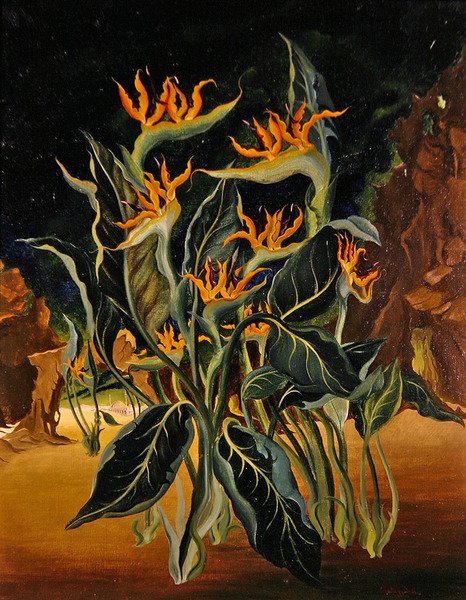 Strange Flowers (öljy kankaalle) tekijältä Bruce Hollingsworth