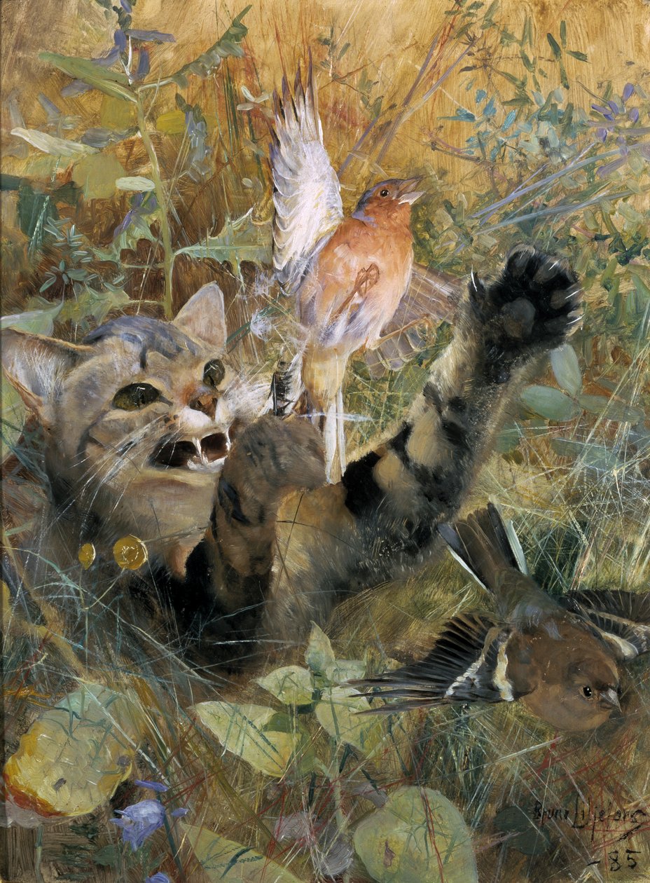 Kissa ja peppu, 1885 tekijältä Bruno Andreas Liljefors