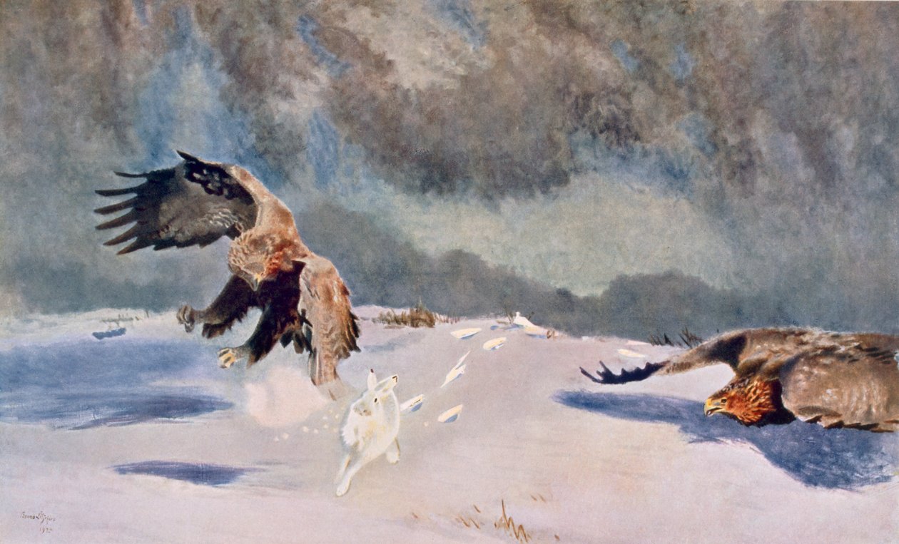Kotkat ja kani, 1922 tekijältä Bruno Andreas Liljefors