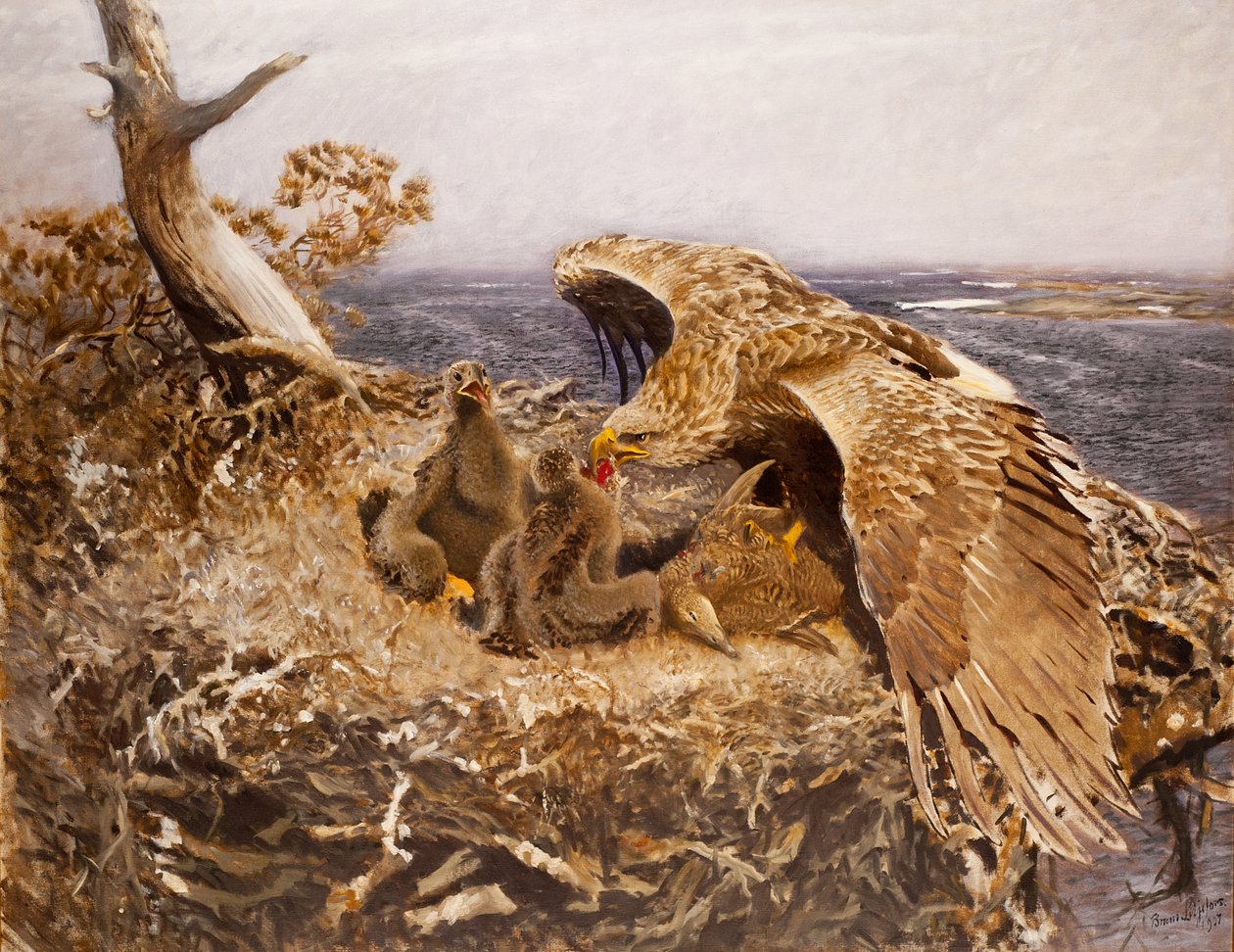 Merikotkan pesä, 1907 tekijältä Bruno Andreas Liljefors