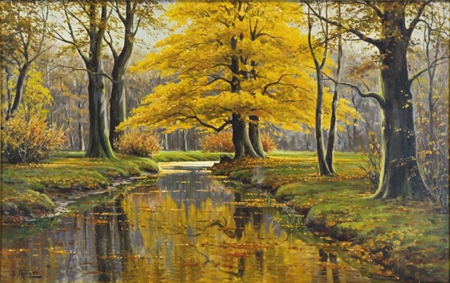  Herbstwald mit BachlaufnGerman: Autumn Forest with River RunnGerman: Syysmetsä jokijuoksulla tekijältä Bruno Moras