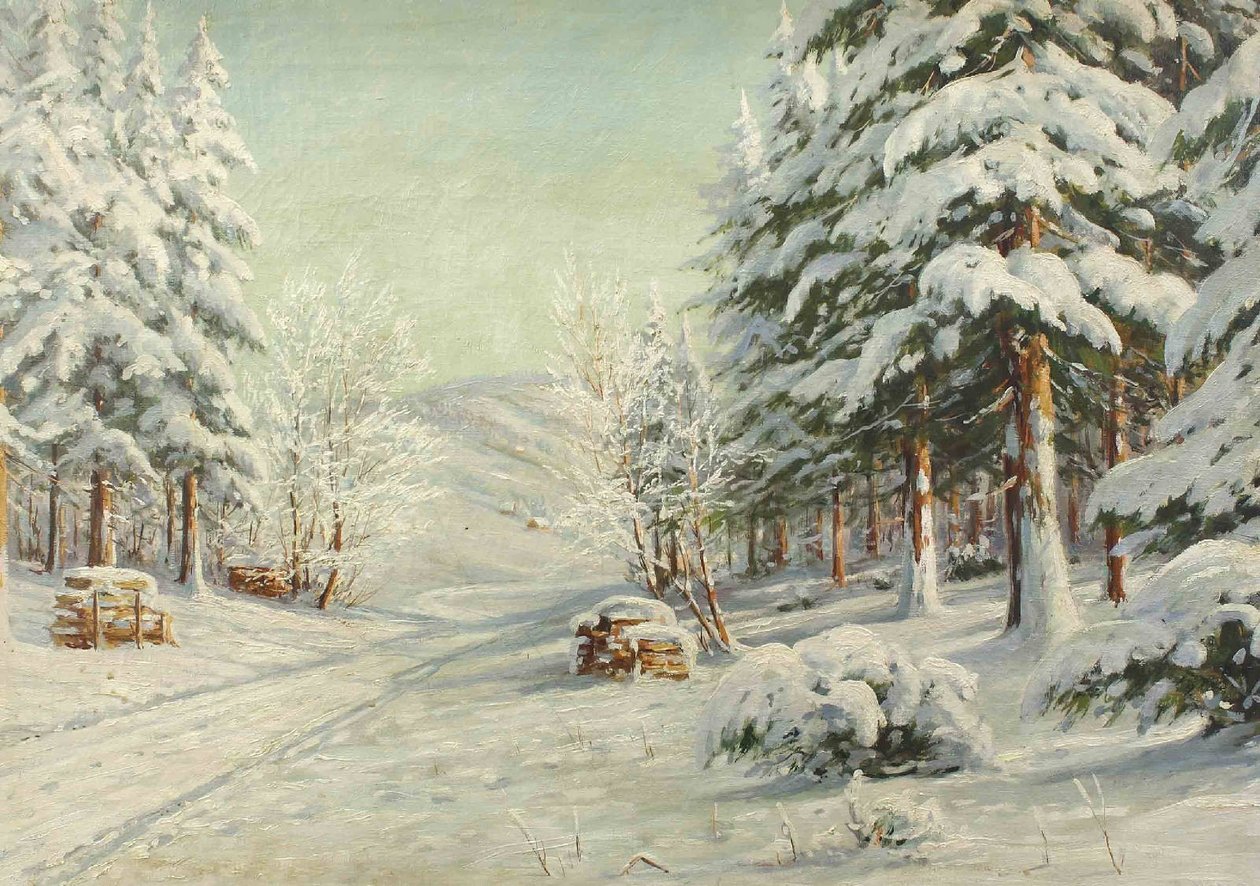 Winterlandschaft tekijältä Bruno Moras