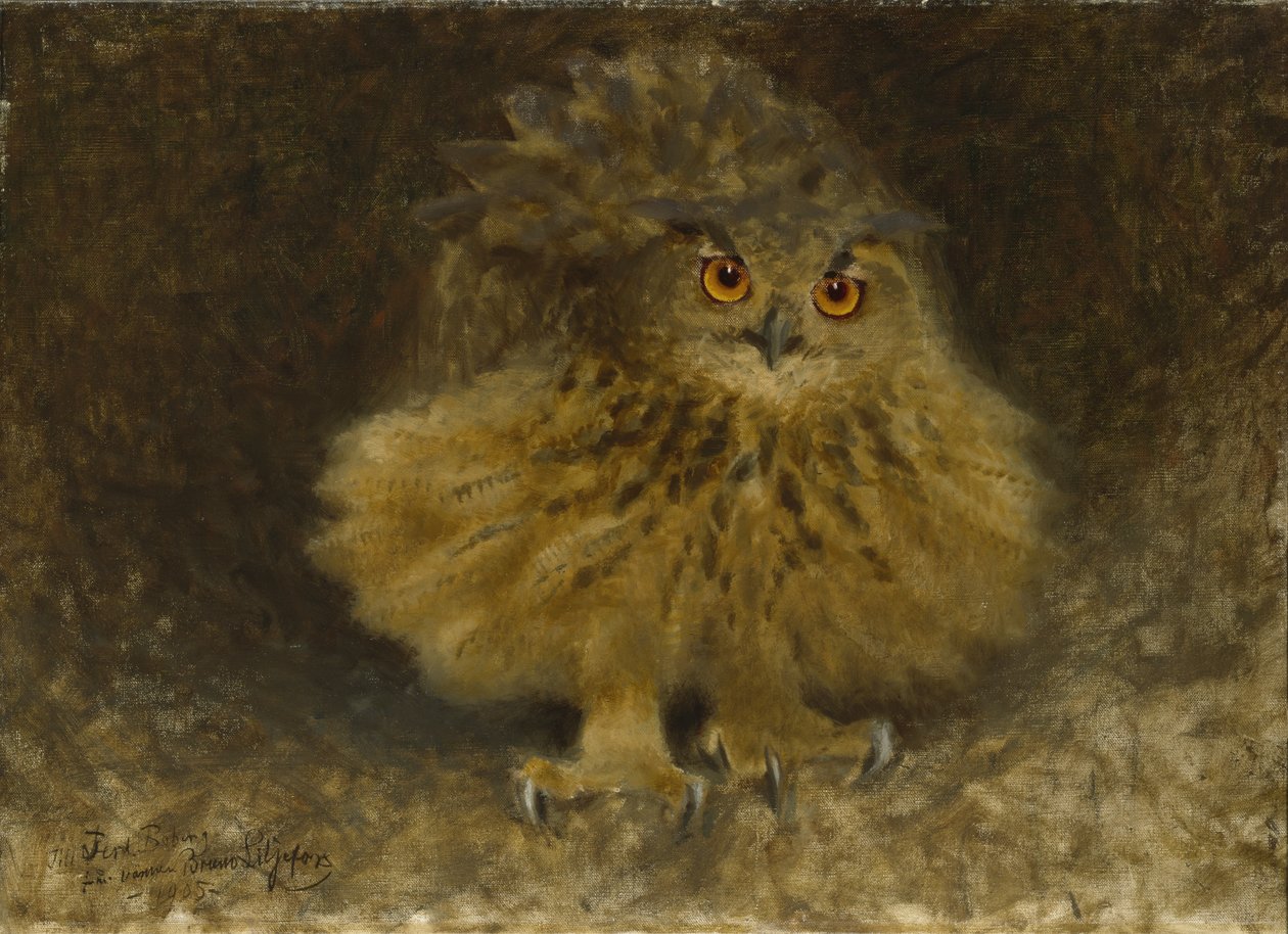 Pöllö, 1905 tekijältä Bruno Andreas Liljefors