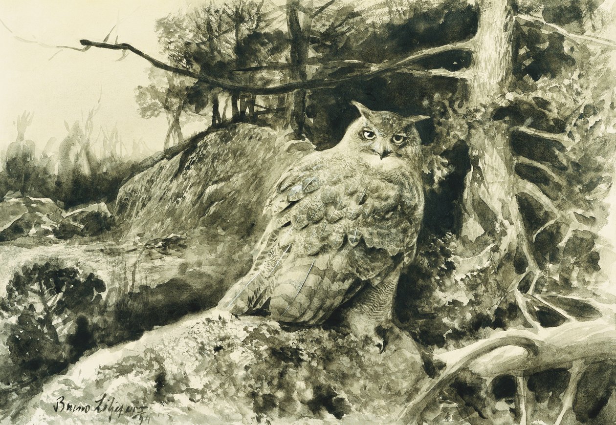 Berguv (Pöllö) Bubo Bubo tekijältä Bruno Andreas Liljefors