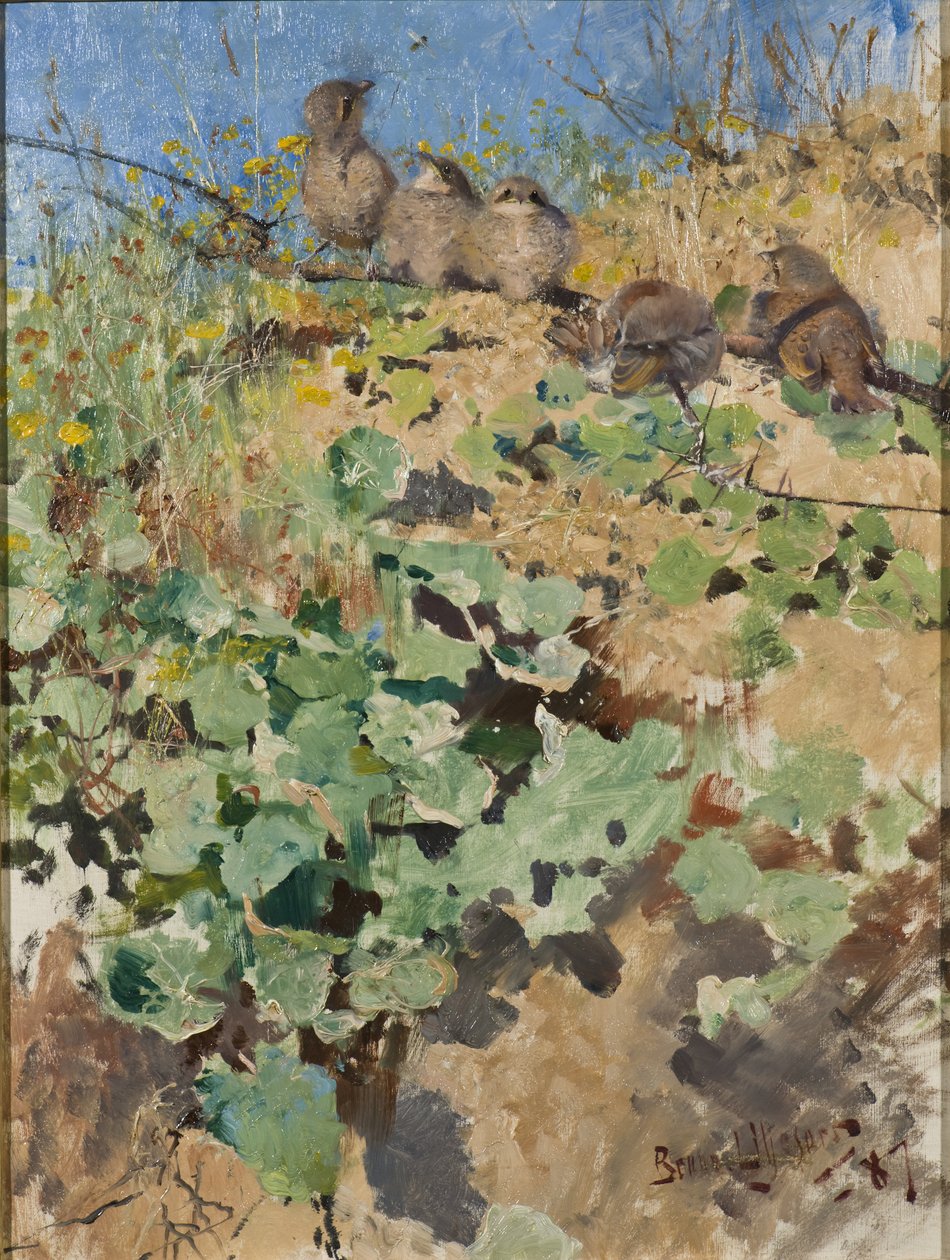 Red-backed Shriken poikaset, 1887 tekijältä Bruno Andreas Liljefors