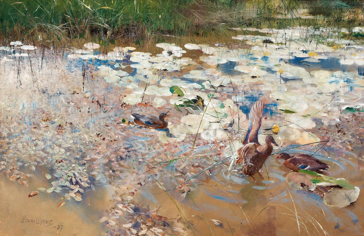 Wild Ducks, 1887. tekijältä Bruno Andreas Liljefors