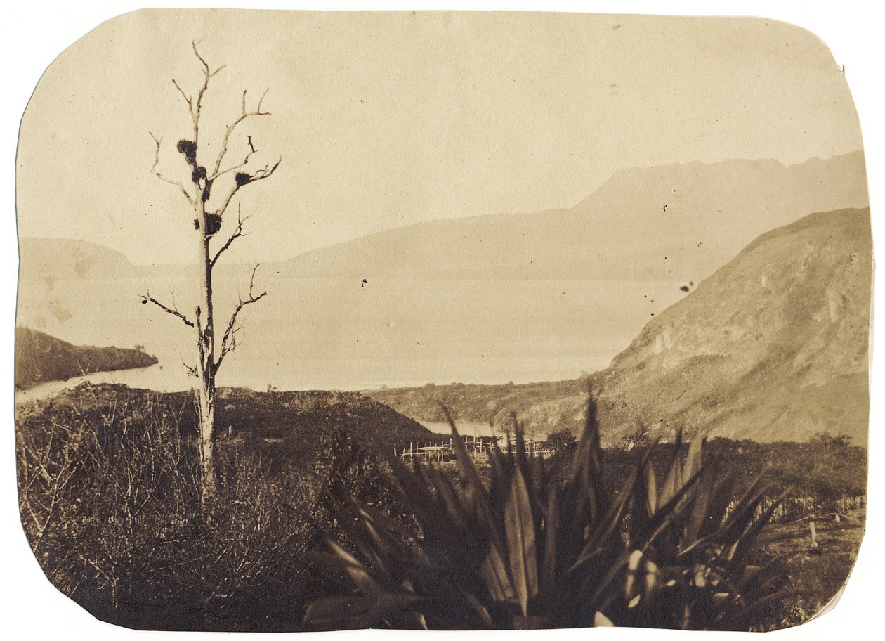Järvi ja Tarawera-vuori Te Wairoasta, 1860 (albumiprintti) tekijältä Bruno Hamel