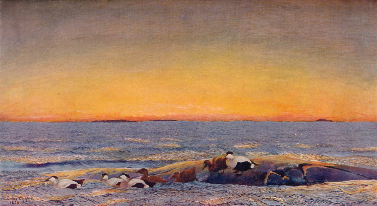 Auringonnousu, 1896 tekijältä Bruno Andreas Liljefors