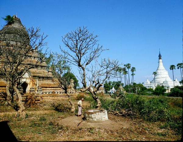 Pagodit lähellä Irrawaddy-jokea (kuva) tekijältä Burmese School