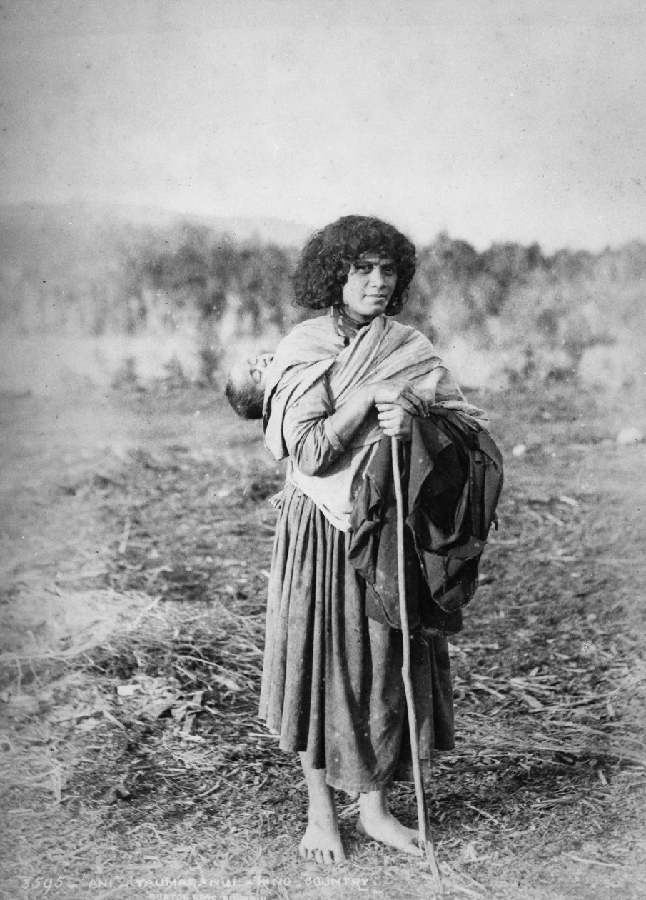 Ani - Taumaranui, King Country, 1885 tekijältä Burton Brothers Studio