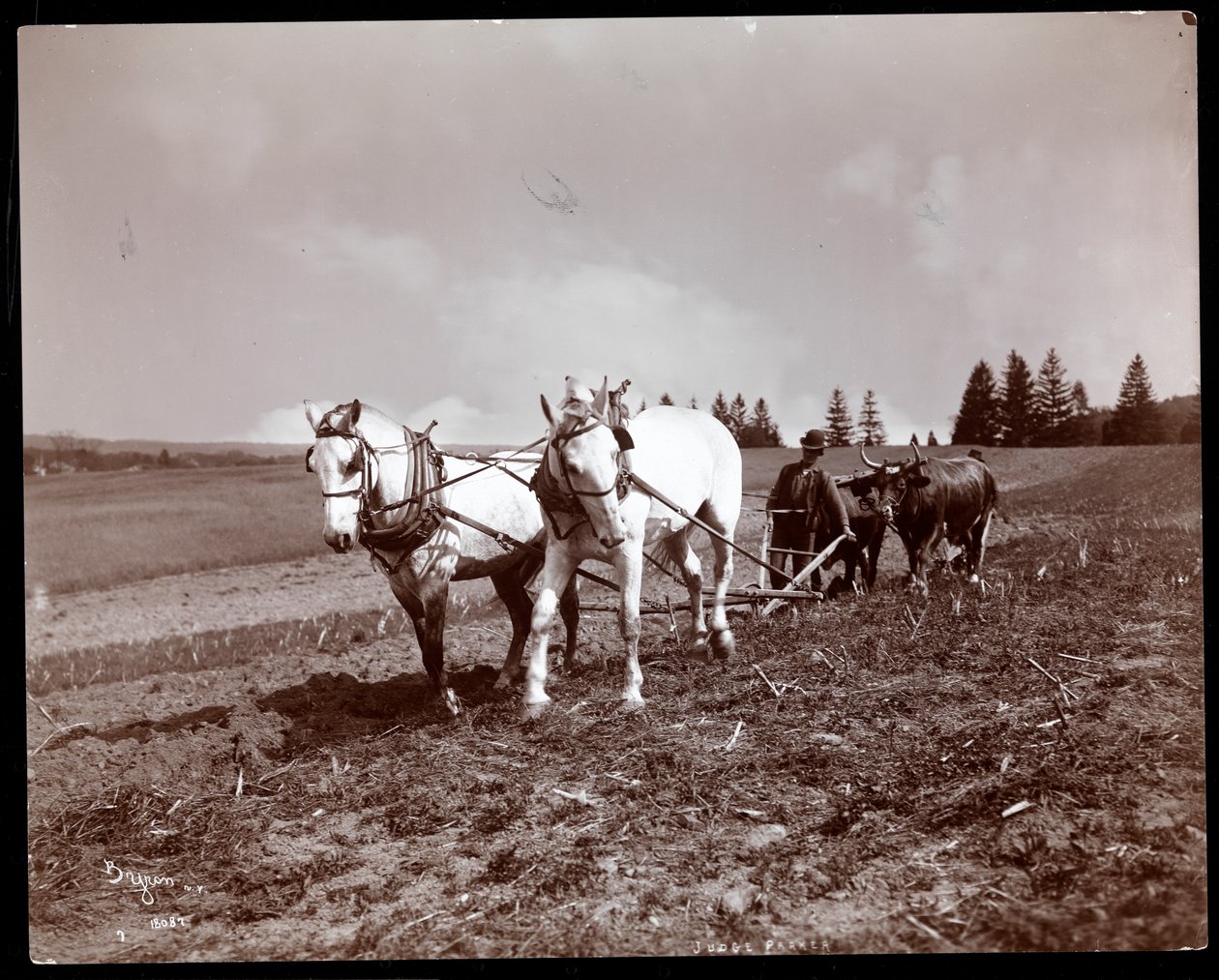 Kyntö Alton Brooks Parkerin tontilla, Esopus Creek, New York, 1904 (hopeagelatiiniprintti) tekijältä Byron Company