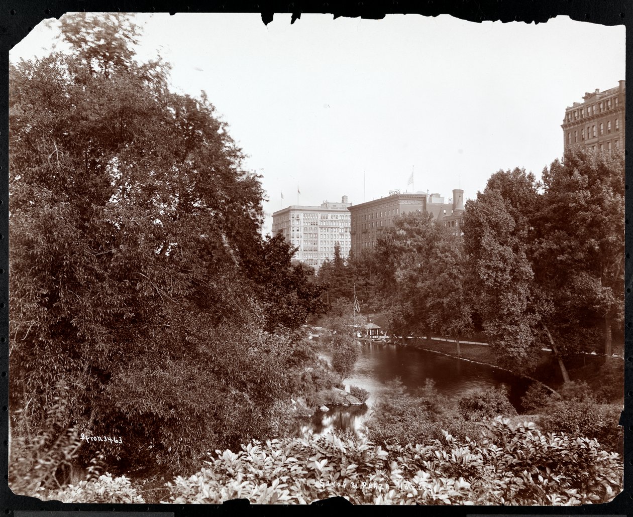 Keskuspuisto näköalalla Savoy- ja Plaza-hotelleihin, 5th Avenue ja 59th Street, New York, n. 1896-1898 (hopeagelatiiniprintti) tekijältä Byron Company