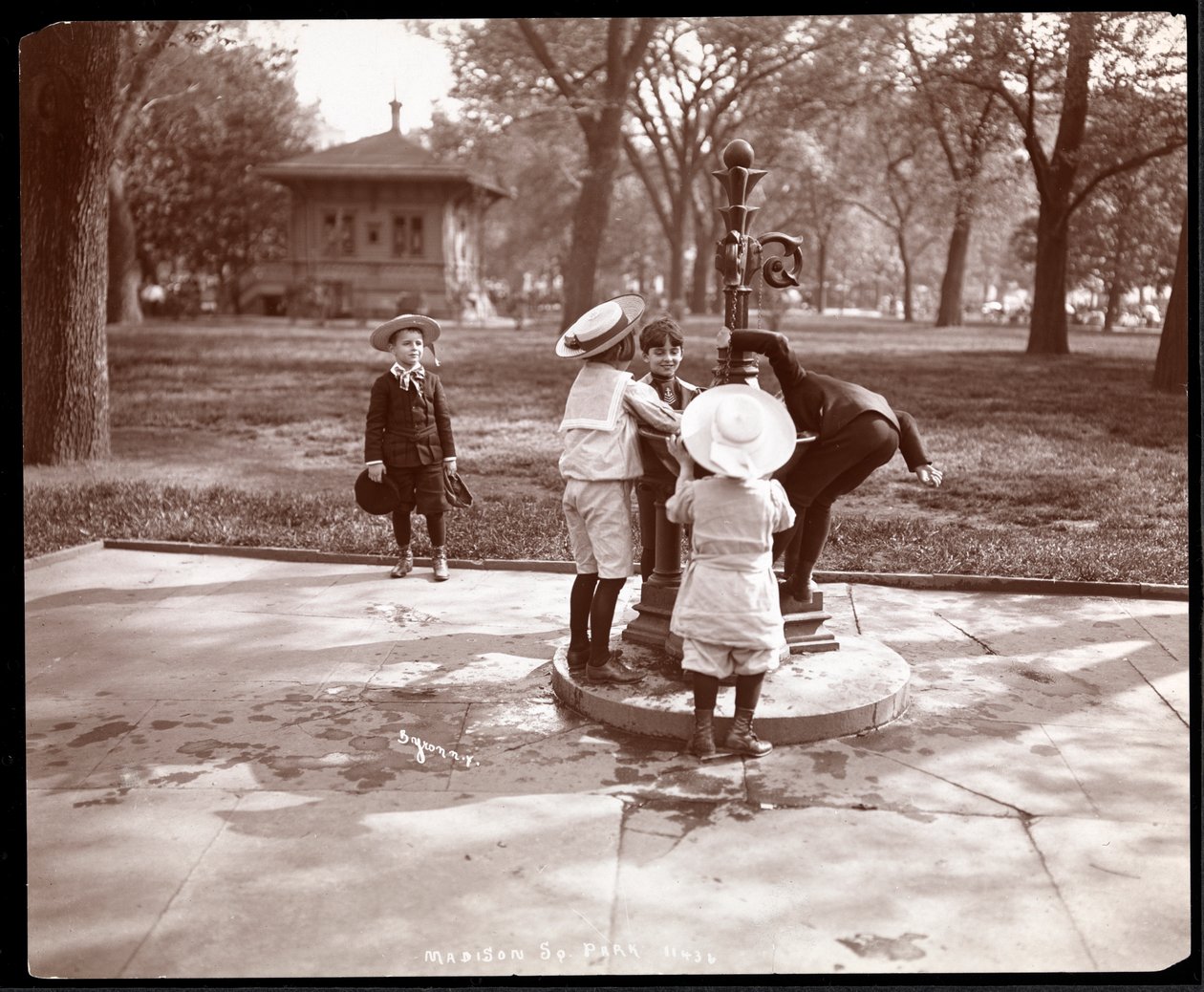 Viisi lasta leikkimässä ja juomassa suihkulähteellä Madison Squarella, New Yorkissa, 1901 (hopeagelatiiniprintti) tekijältä Byron Company
