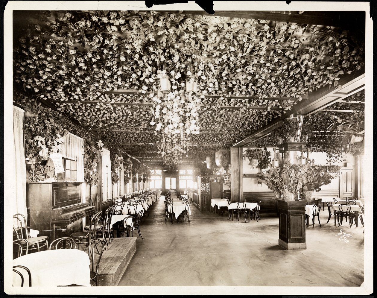 Ruokasali Hotel Dolphinissa, New York, 1915 (hopeagelatiiniprintti) tekijältä Byron Company