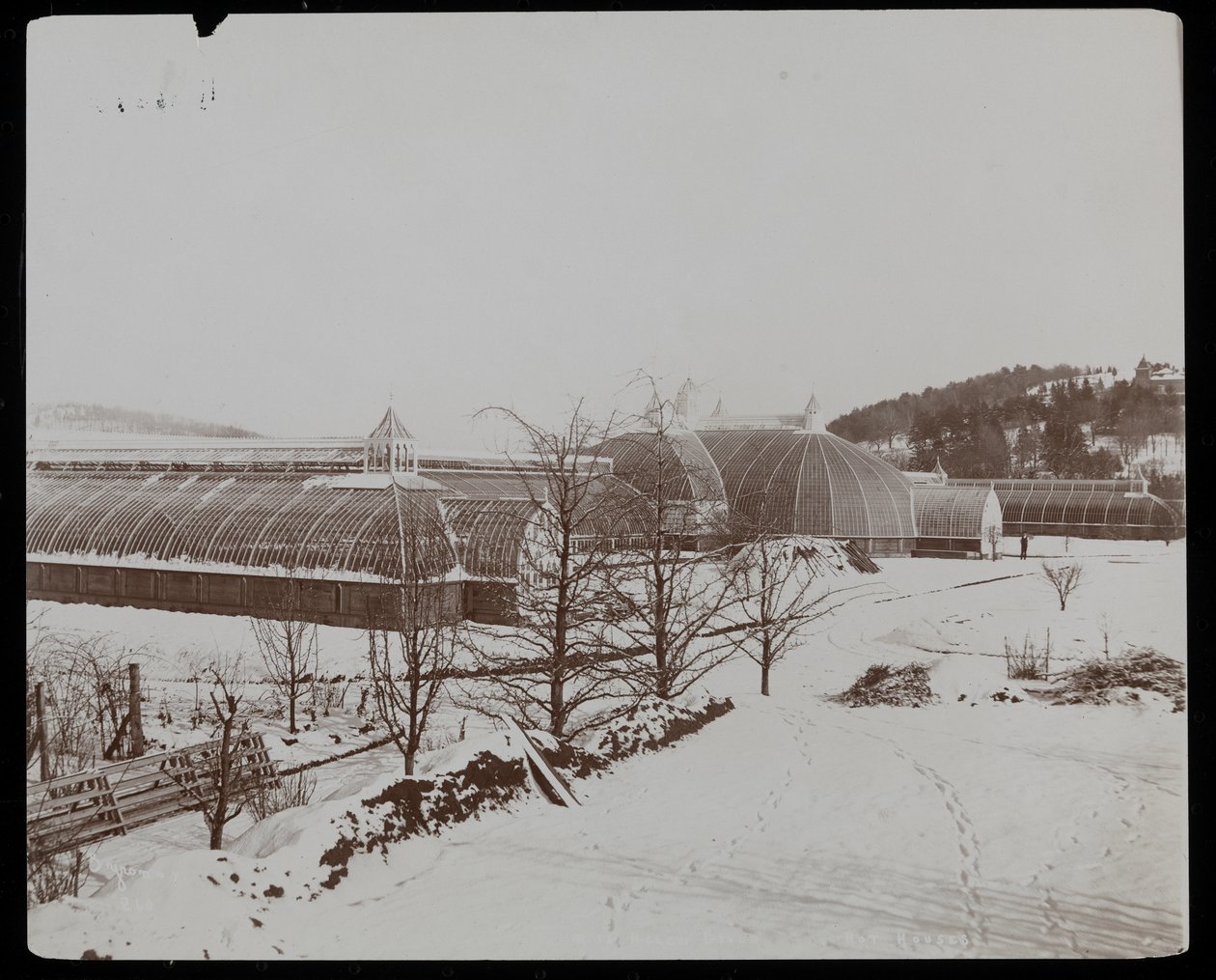 Kasvihuoneet lumisateessa Helen Gouldin kartanolla (myöh. Jay Gouldin asunto) Tarrytownissa, New Yorkissa, 1894 (hopeagelatiinipaino). tekijältä Byron Company