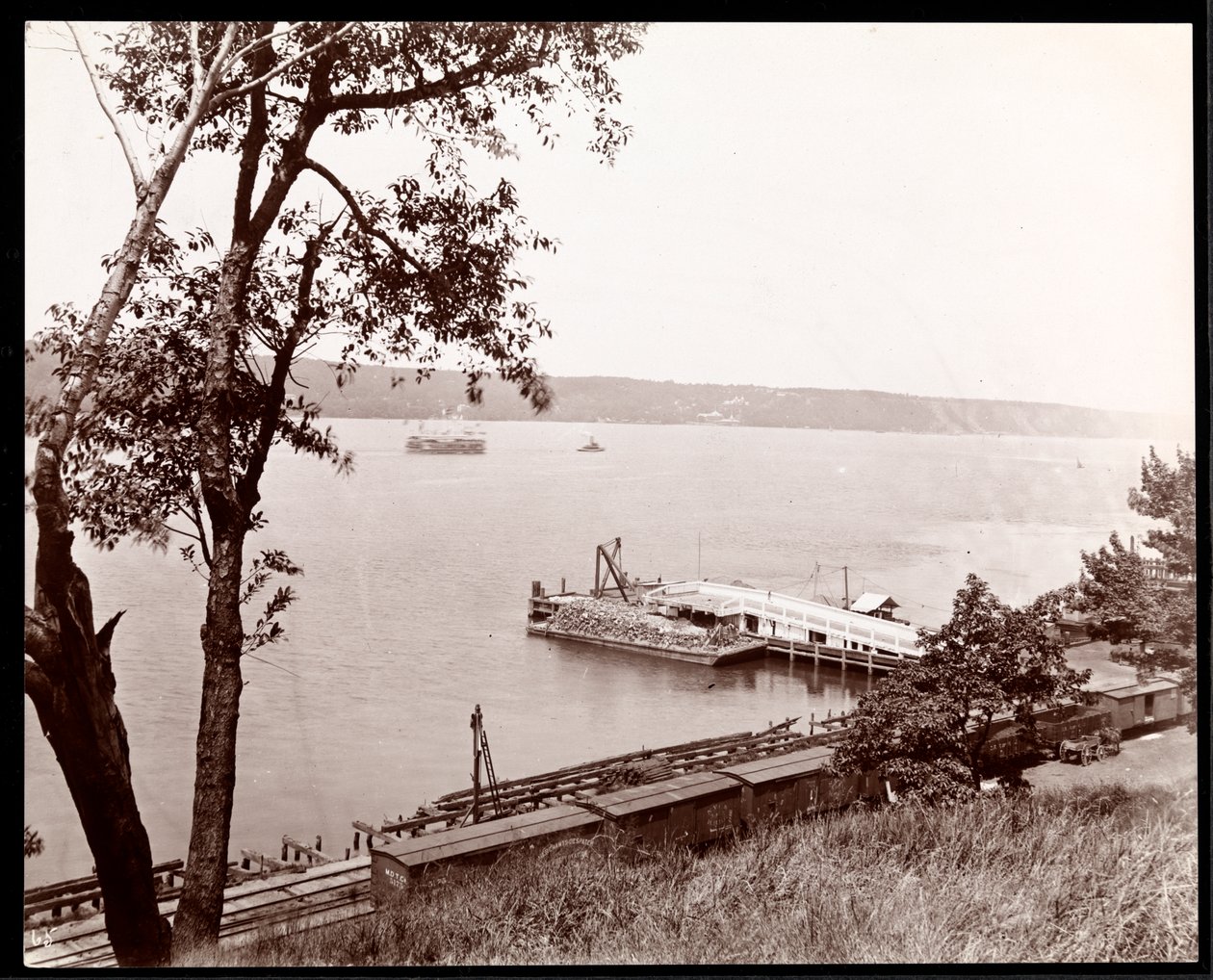 Näkymä koilliseen Riverside Drivesta ja Parkista kohti Hudson-jokea, New York, n. 1893 (hopeagelatiiniprintti) tekijältä Byron Company