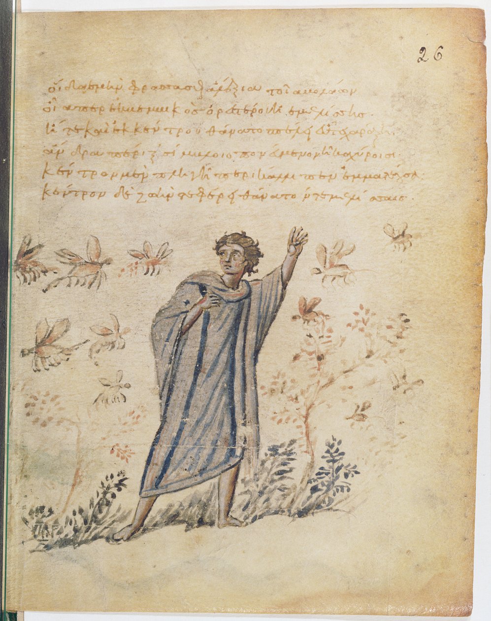Ms Supp Grec 247 fol.3 Mies pakenemassa mehiläisistä, kuva Theriaca of Nicander of Colophonia (fl.2. vuosisadalla eKr.) tekijältä Byzantine