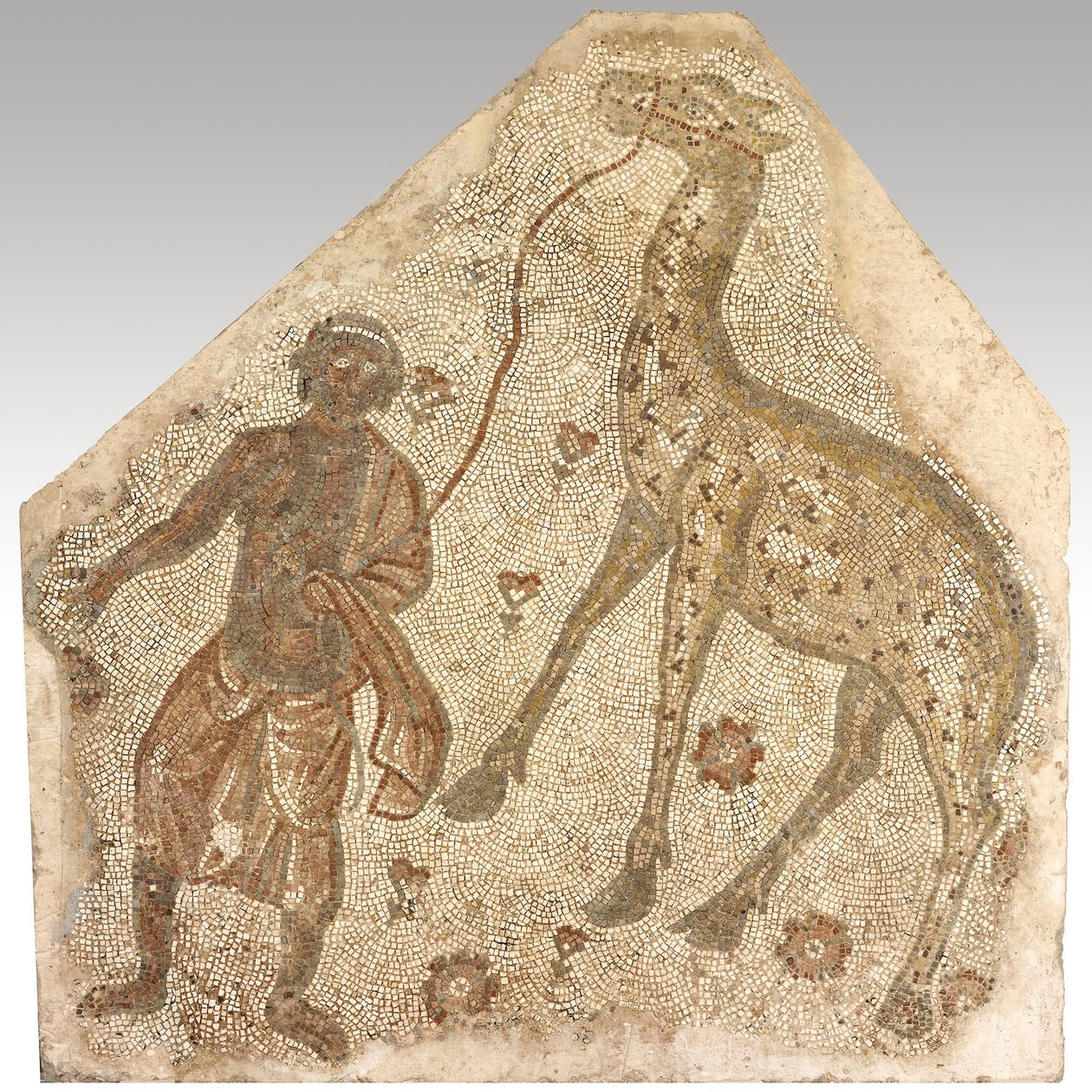 Mosaiikin katkelma, jossa mies johtaa kirahvia, 401-500 jKr. (kivi laastissa) tekijältä Byzantine