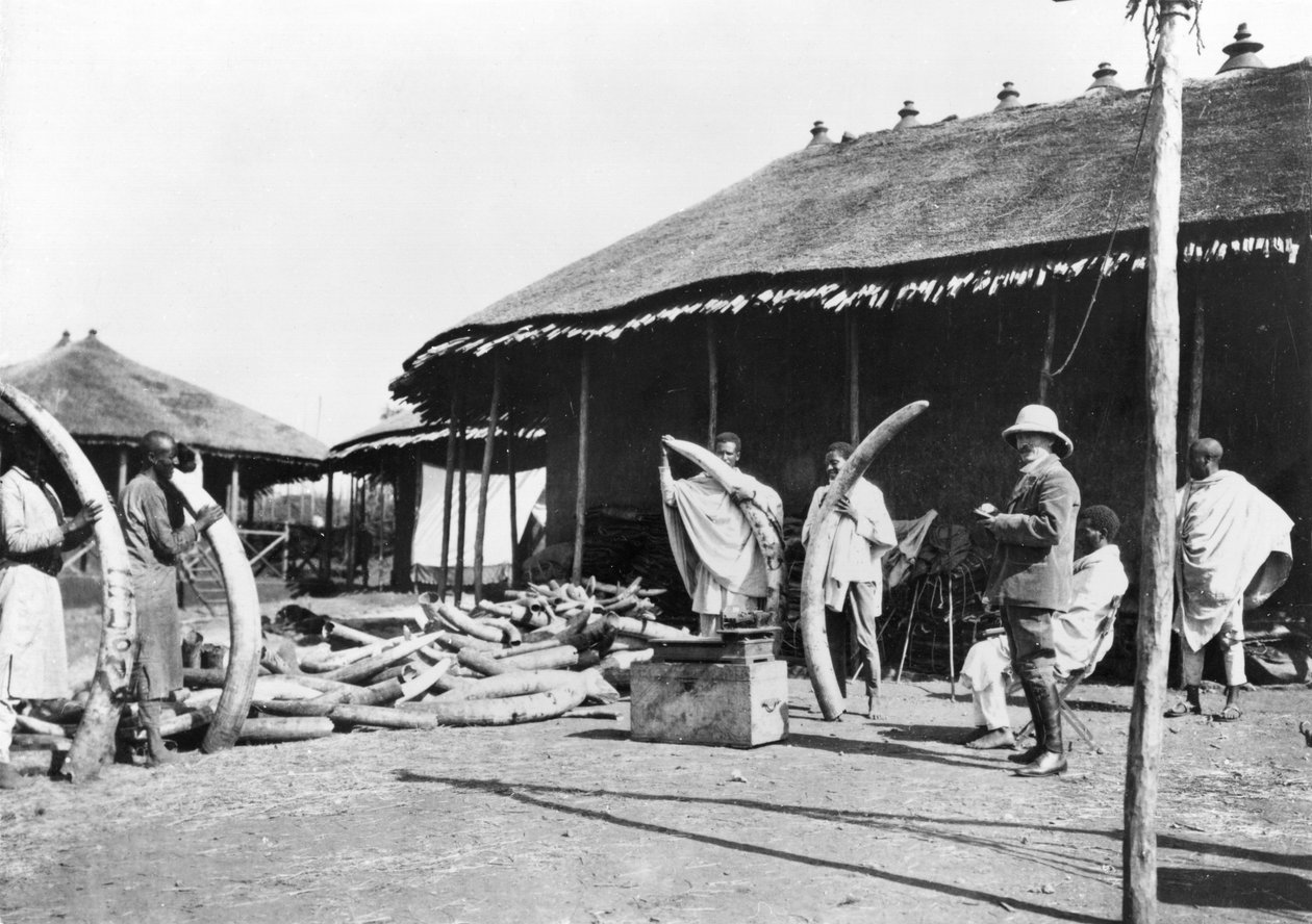 Norsunluuvarastot Addis Abebassa, Etiopiassa, n. 1900 ( bw kuva) tekijältä C. Chusseau Flaviens