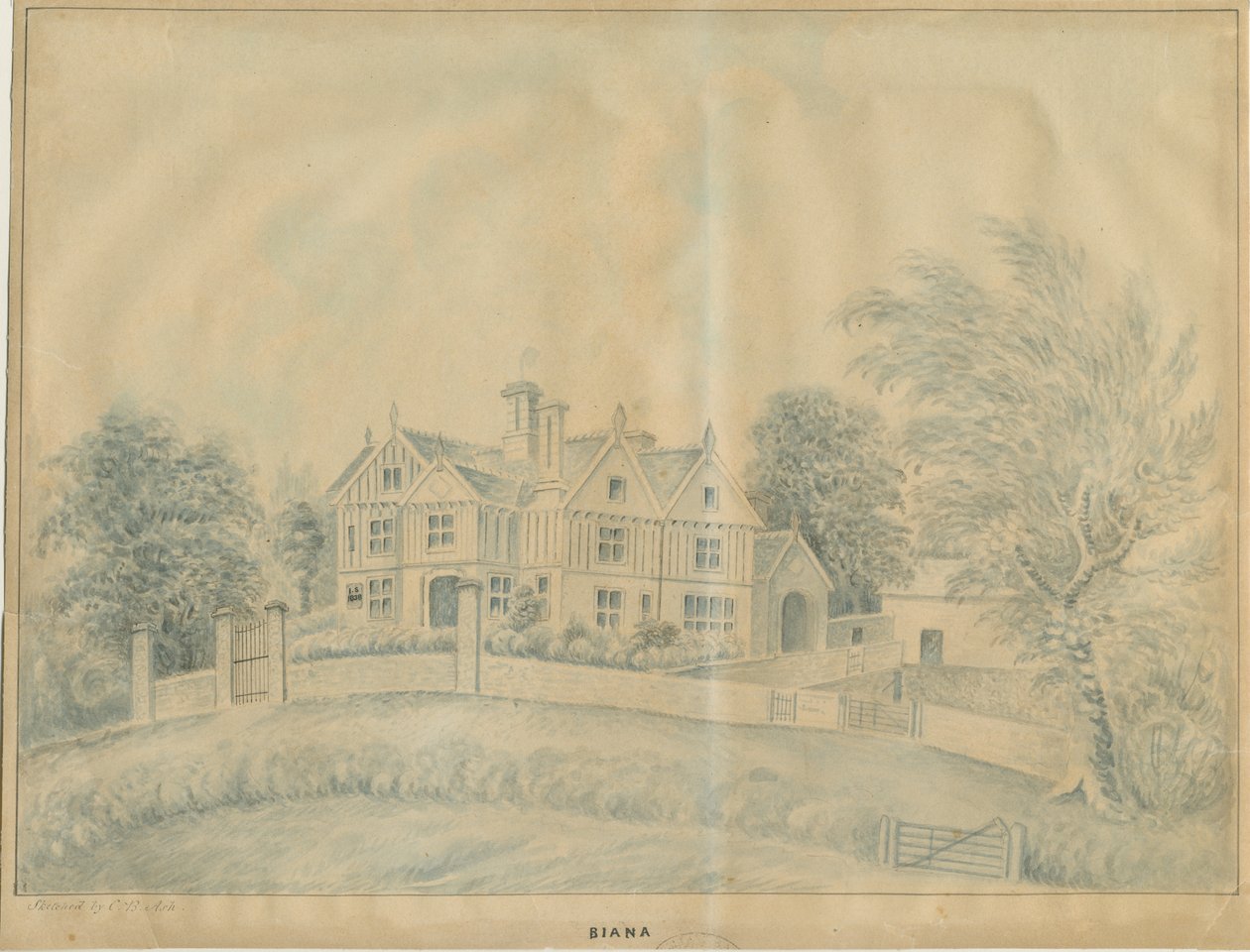 Eccleshall - Biana Hall: sininen pesupiirustus ja [1800-luvun puoliväli] tekijältä C.B Ash