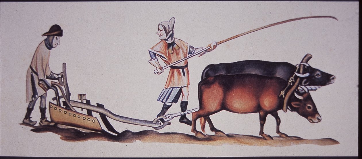 Keskiaikaiset miehet kyntämässä härillä, Luttrell-psalterin kohtauksesta (värilitho) tekijältä J.B. and Brown J. Rowbotham
