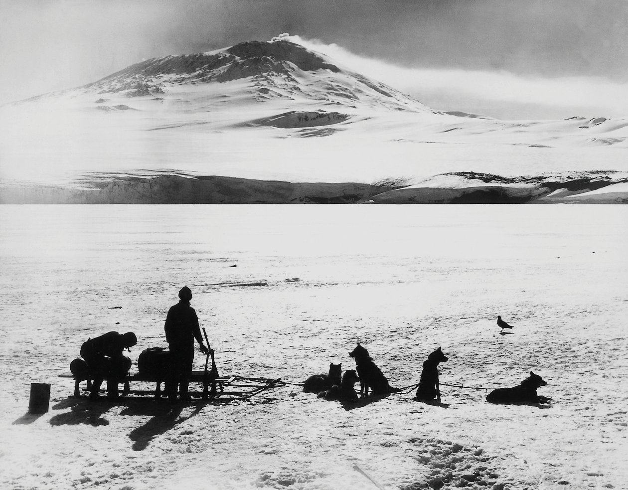 Robert Falcon Scottin (1868-1912) Etelänavan tutkimusmatka ennen Erebuksen tulivuorta Rossin saarella, 15. tammikuuta tekijältä J.B. and Brown J. Rowbotham
