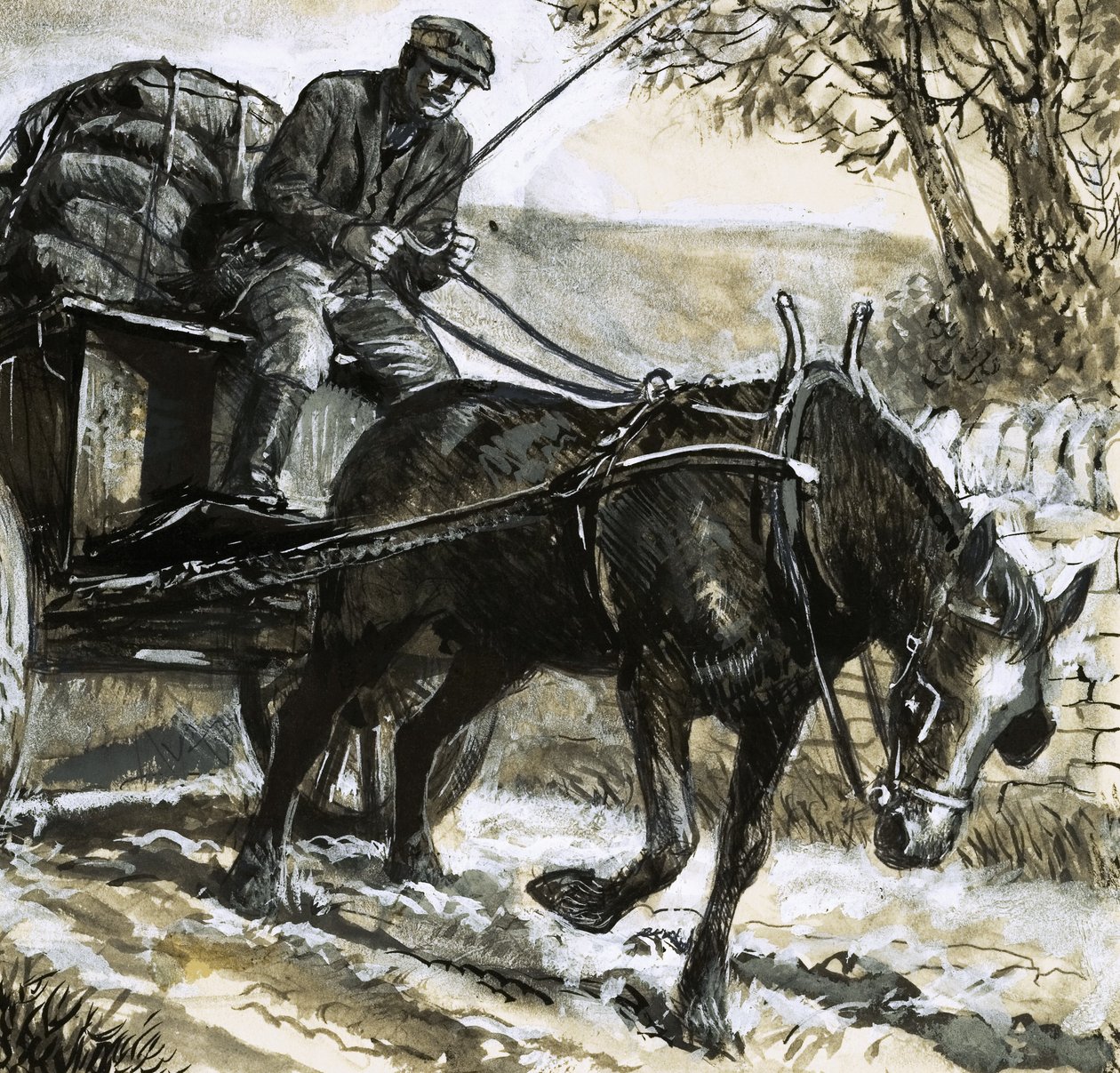 Hevoset olivat aliravittuja ja ylikuormitettuja tekijältä C.L. Doughty