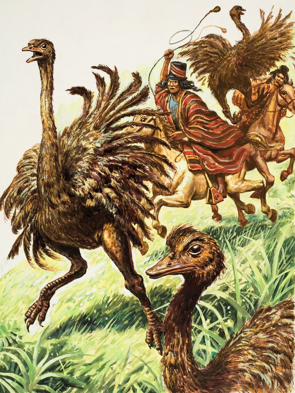 Rheas (guassi paperille) tekijältä C.L. Doughty