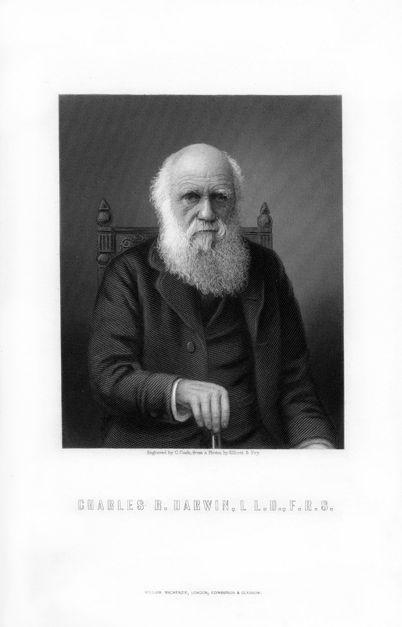 Charles Darwin, brittiläinen luonnontieteilijä, 1899. tekijältä C. Cook