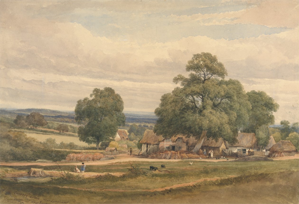 Emery Down lähellä Lyndhurstia, New Forest, Hants (akvarelli ja grafiitti paperille) tekijältä C. John Mayle Whichelo