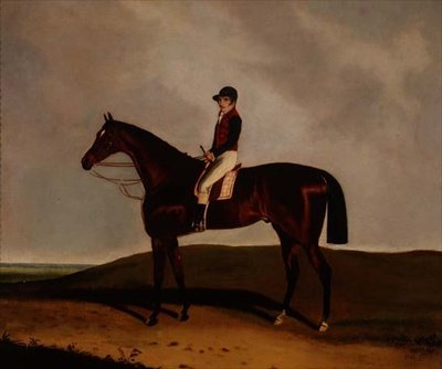 Bay Racehorse tekijältä C. Markham