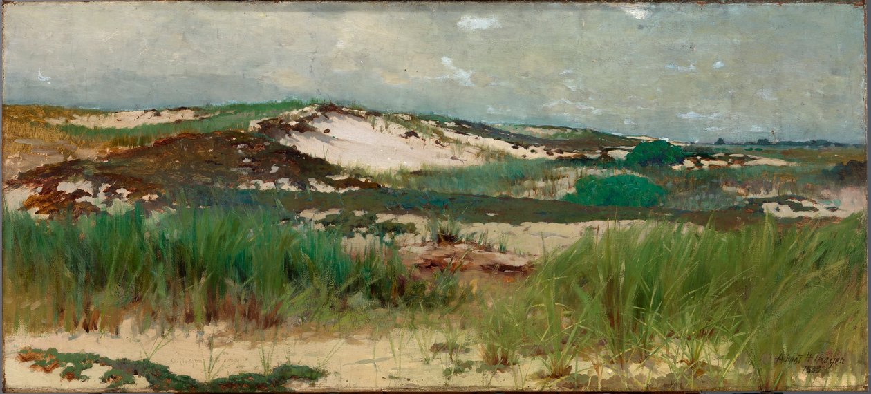 Nantucketin hiekkadyynit tekijältä C. Morgan McIlhenney