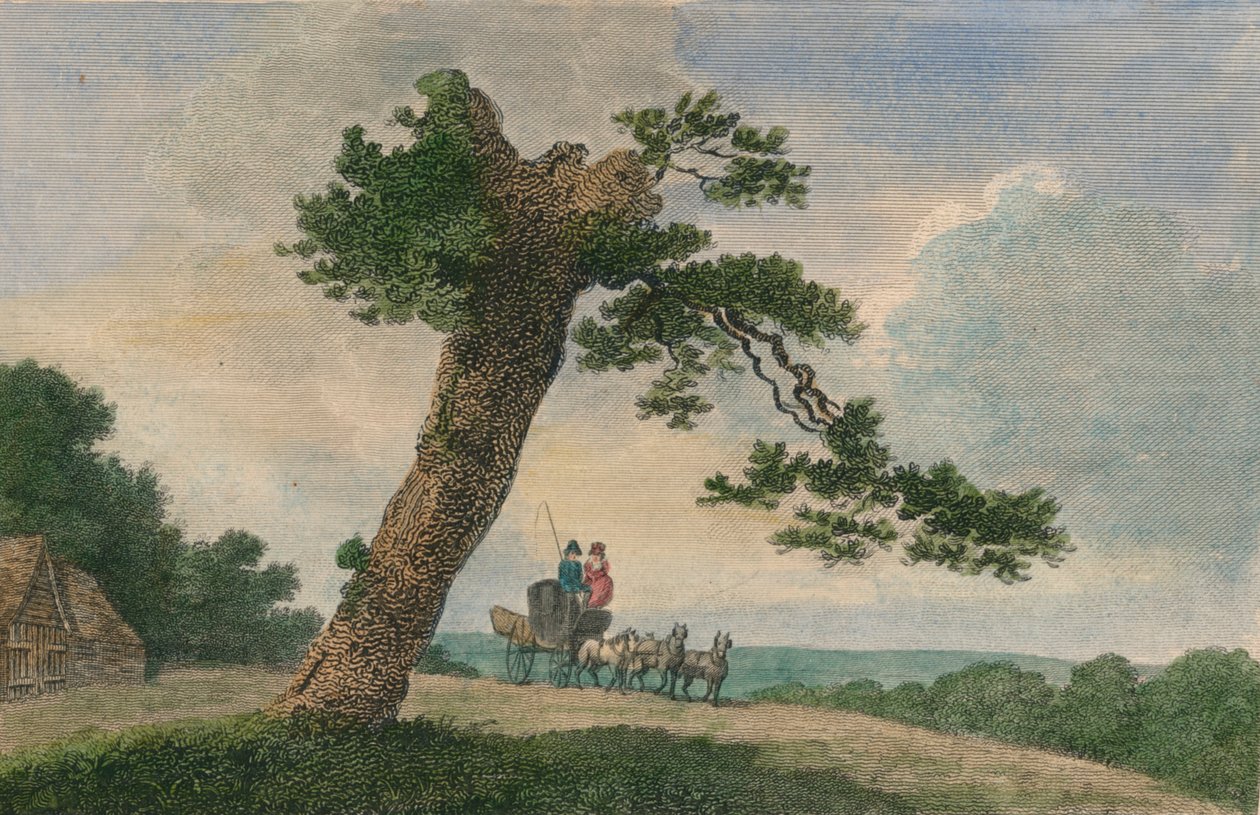 "Rural Subject", 1804. tekijältä C Taylor