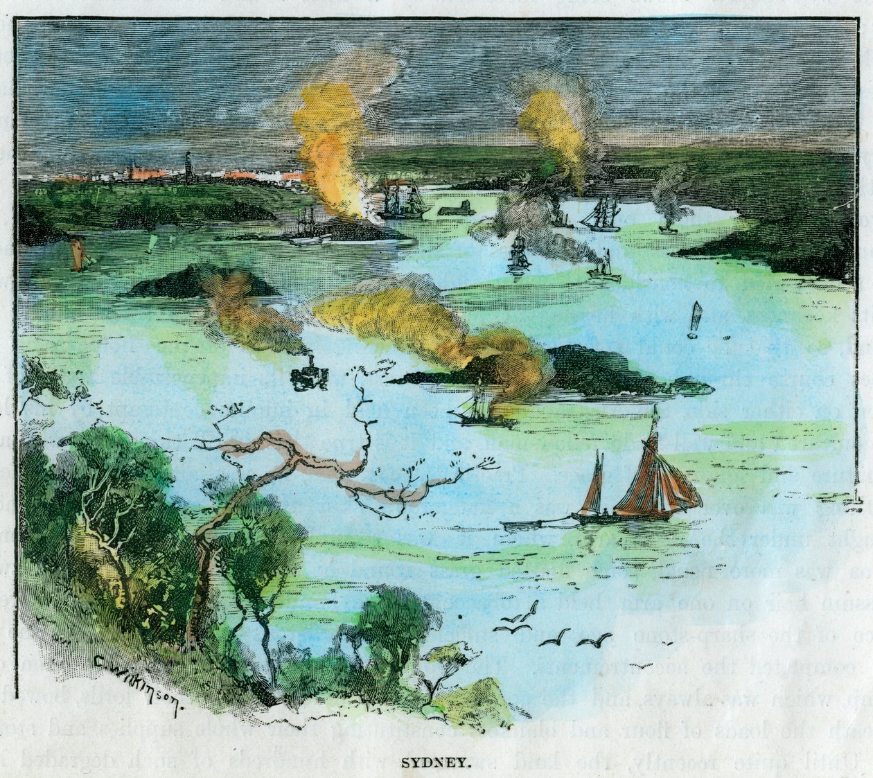 Sydney, Uusi Etelä-Wales, Australia, 1885. tekijältä C. Wilkinson