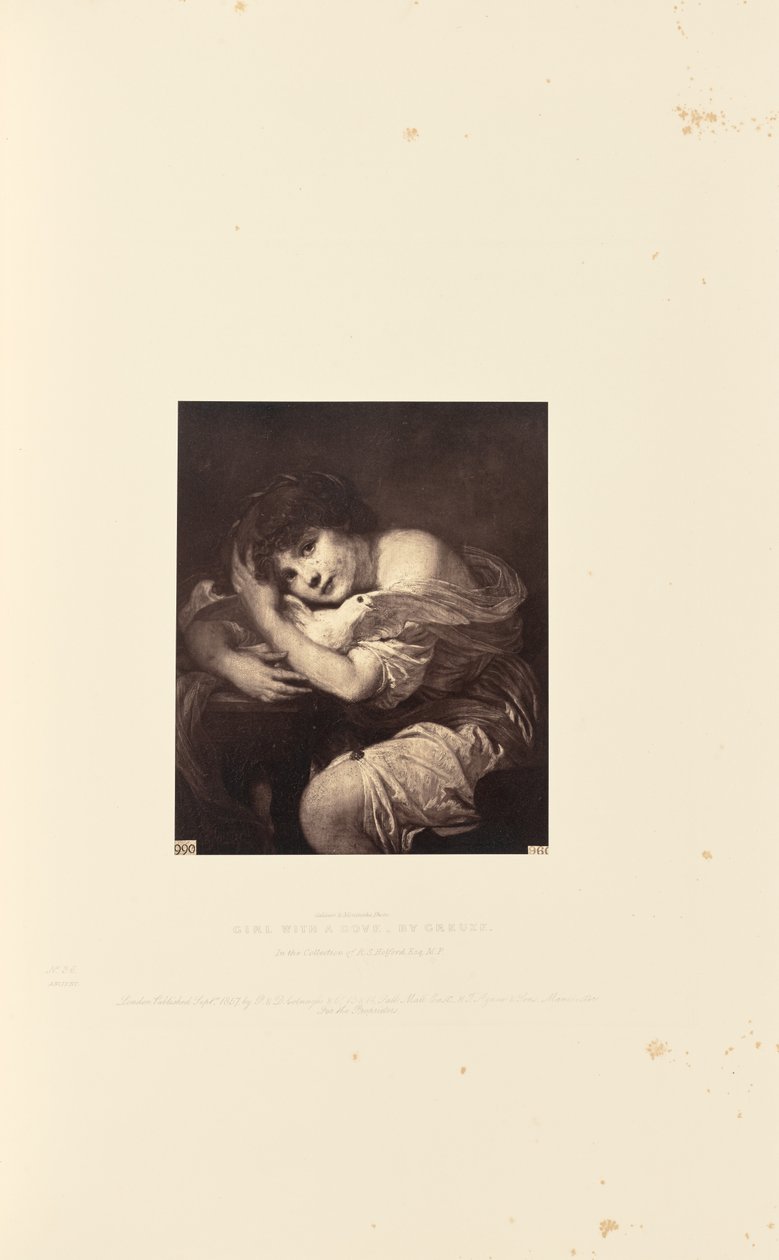 Tyttö kyyhkysen kanssa, Greuze tekijältä Caldesi and Montecchi