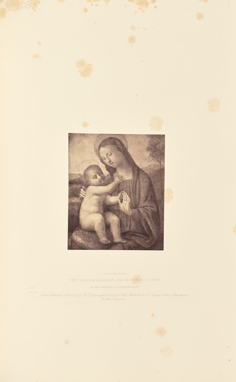 Neitsyt ja lapsi, Filippino Lippi tekijältä Caldesi and Montecchi
