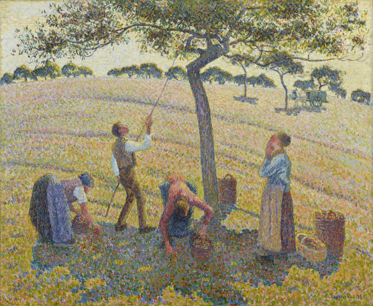 Apple Harvest tekijältä Camille Jacob Pissarro