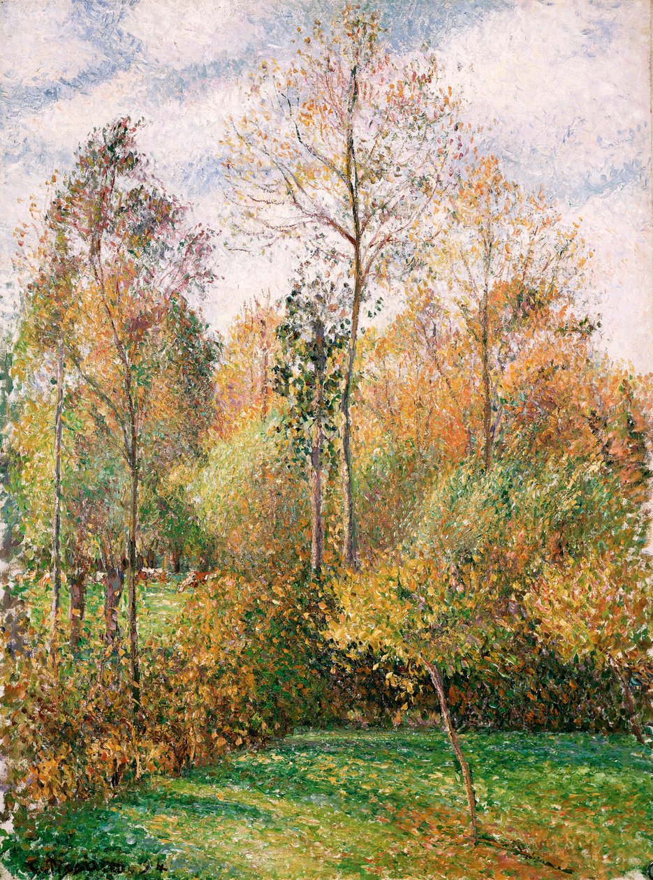 Automne, Peupliers, Eragny tekijältä Camille Jacob Pissarro