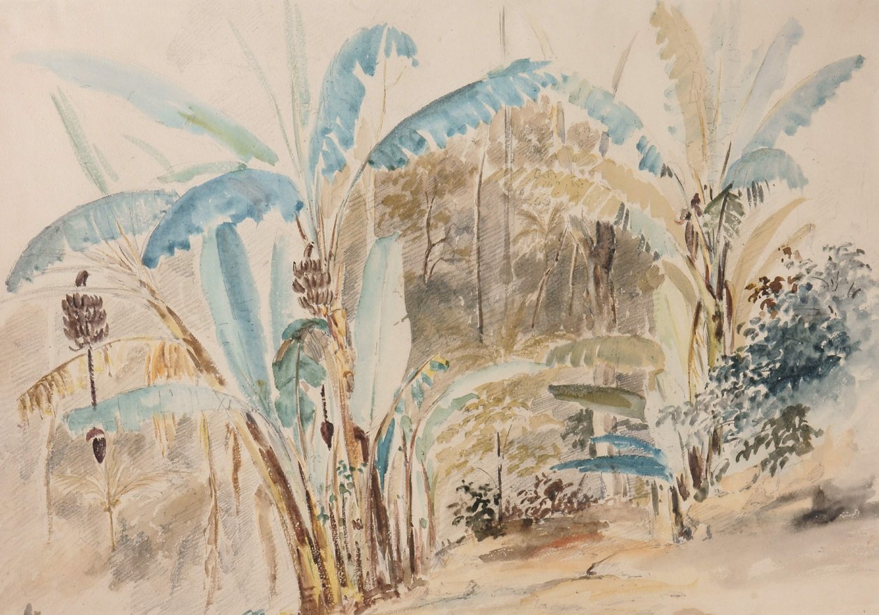 Bananeros tekijältä Camille Jacob Pissarro