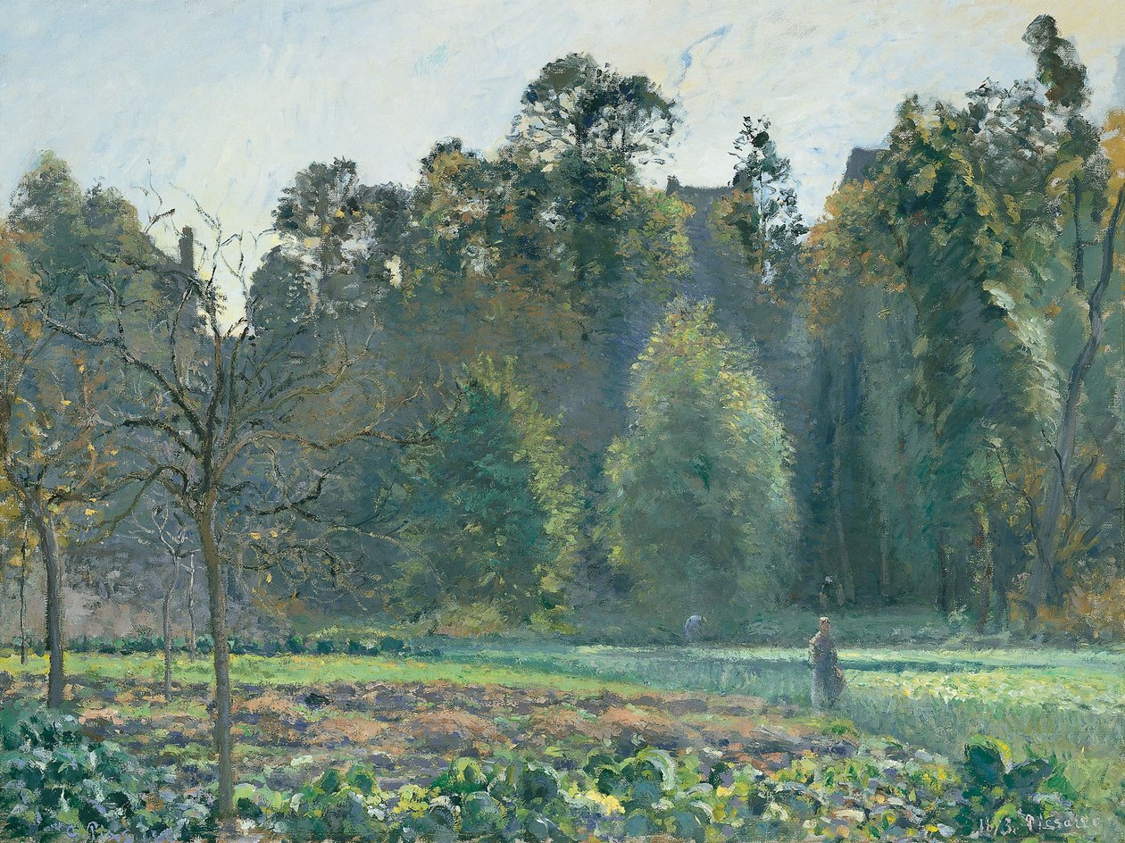 Le champ de chou, Pontoise tekijältä Camille Jacob Pissarro