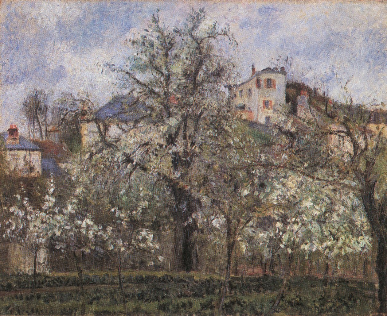 Potager et arbres en fleurs, printemps, Pontoise tekijältä Camille Jacob Pissarro