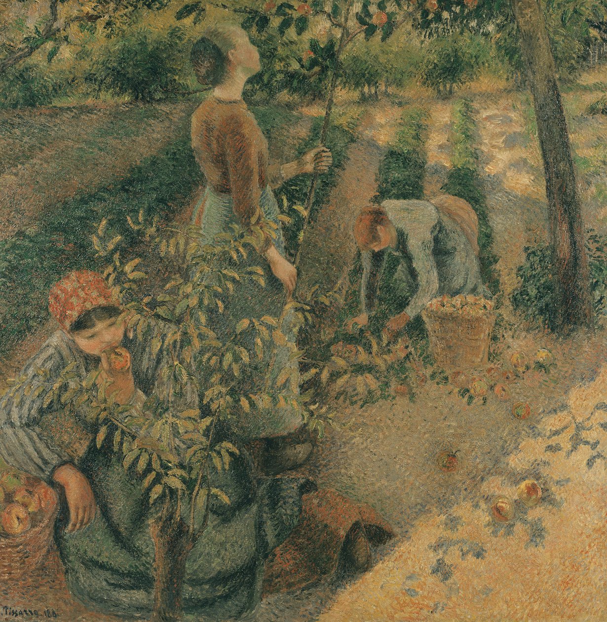 Apple Pickers, 1886 tekijältä Camille Jacob Pissarro