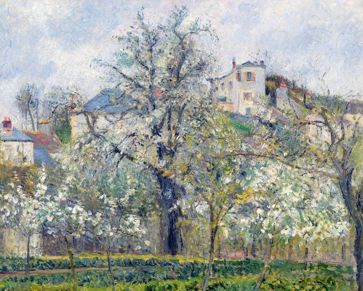 Kasvispuutarha ja puita Blossomissa, Spring, Pontoise, 1877 tekijältä Camille Jacob Pissarro