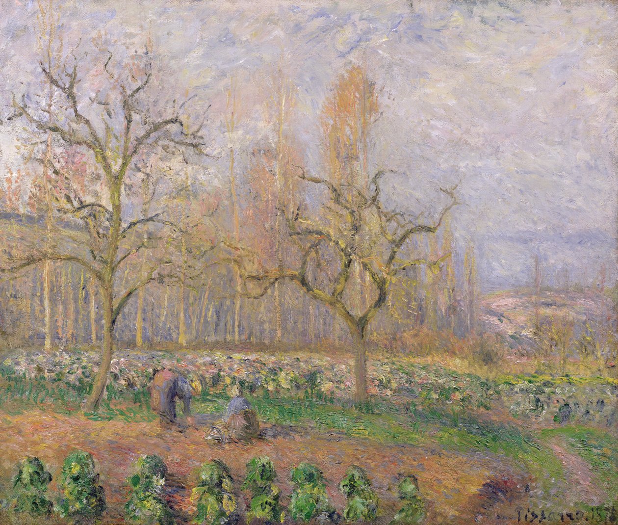 Hedelmätarha Pontoisessa, 1878 tekijältä Camille Jacob Pissarro