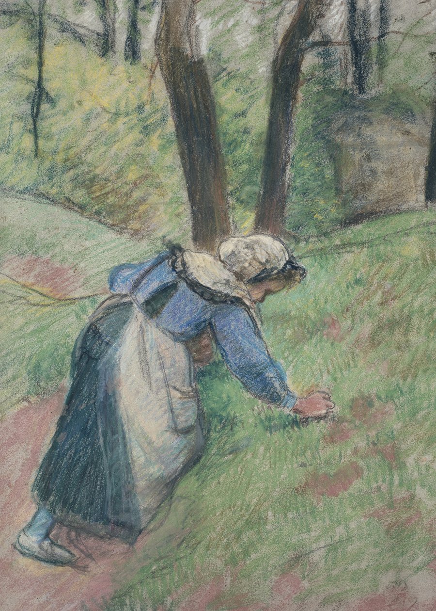 Talonpoikanainen kitkemässä ruohoa (pastellikorotettu paikoin vaaleanpunaisella pesulla) tekijältä Camille Jacob Pissarro